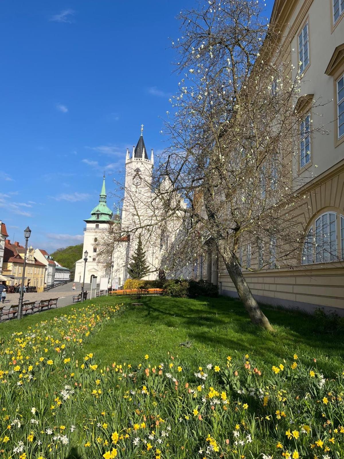 Vila Adela - Teplice Exteriör bild